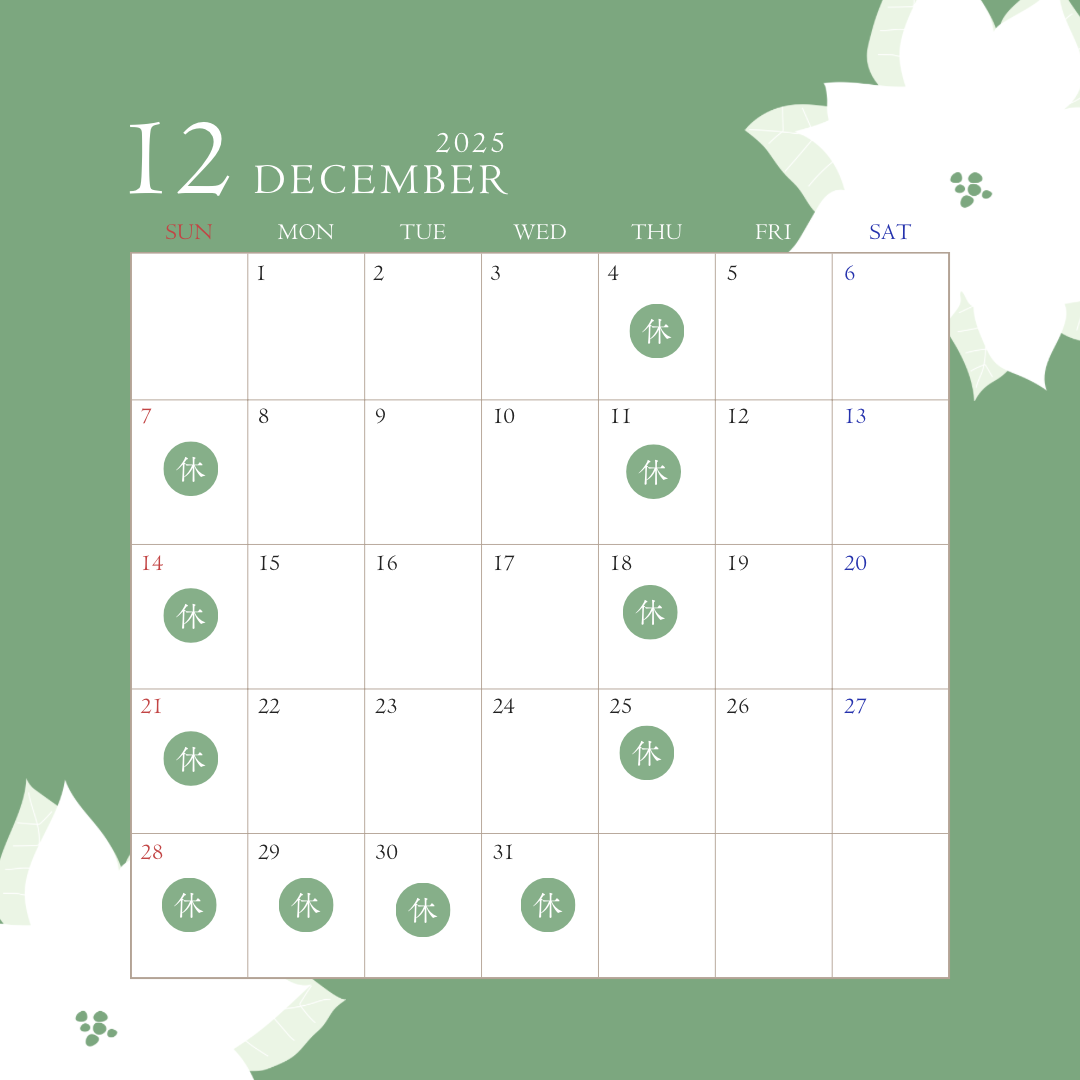 カラフル　シンプル　花　和風　北欧　2025 カレンダー　インスタグラムの投稿